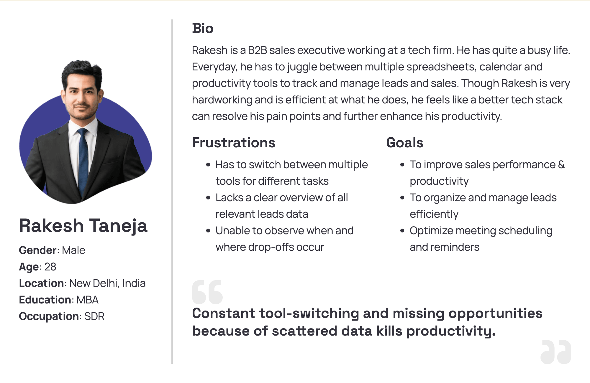 User persona — Rakesh Taneja, B2B sales executive